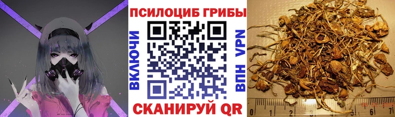 Галлюциногенные грибы мухоморы  где купить наркотик  Горбатов 